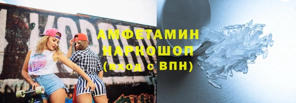 прущие грибы Ельня