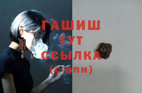 прущие грибы Ельня