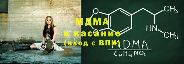 прущие грибы Ельня