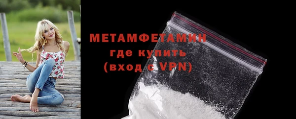 прущие грибы Ельня