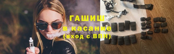 прущие грибы Ельня