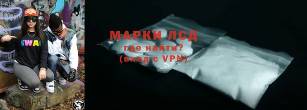 прущие грибы Ельня