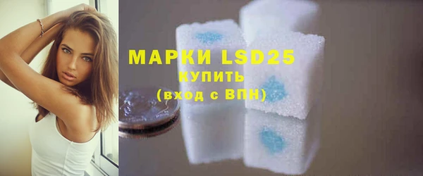 прущие грибы Ельня
