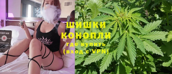 прущие грибы Ельня