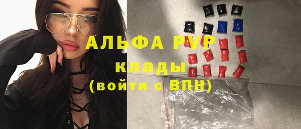 прущие грибы Ельня