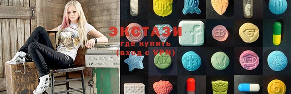 прущие грибы Ельня
