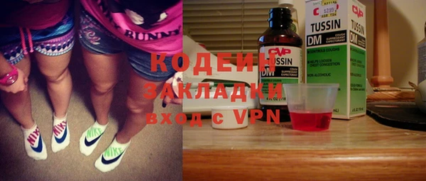 прущие грибы Ельня