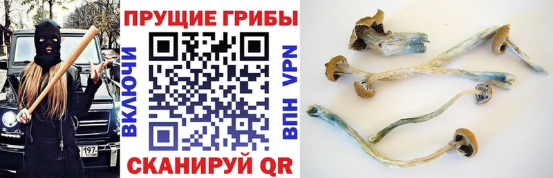 Купить  Константиновск  Псилоцибиновые грибы ЛСД 